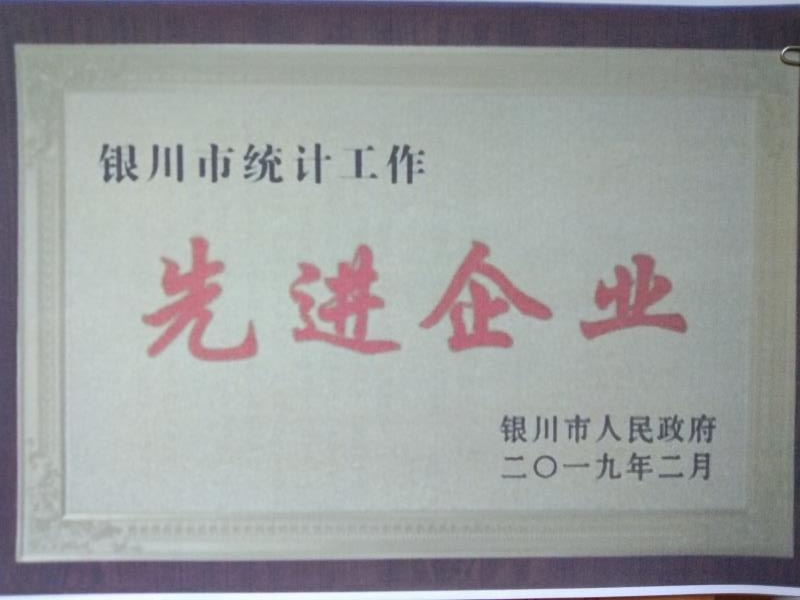 银川市统计工作先进企业